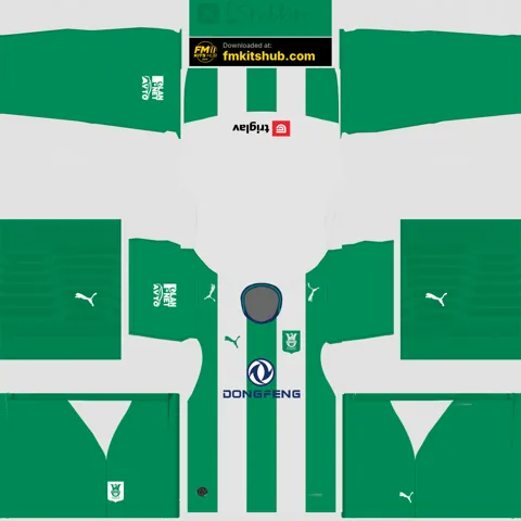 Olimpija Lublana Home 3D kit