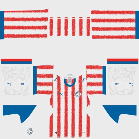 Paraguay Home 3D kit