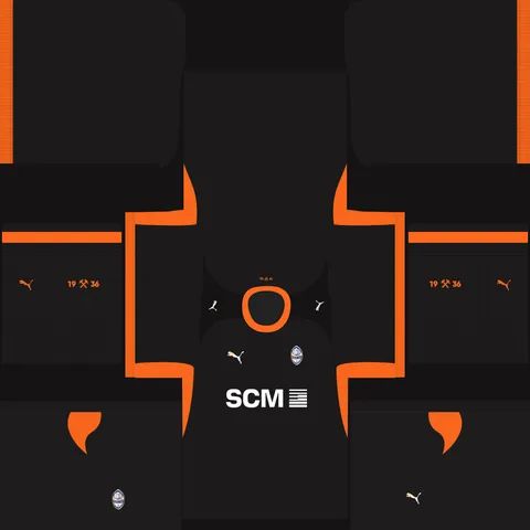 Shakhtar Üçüncü 3D forması