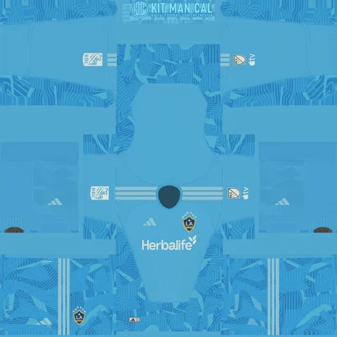 LA Galaxy Away GK kit