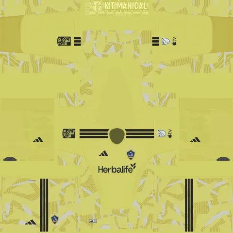 LA Galaxy Home GK kit