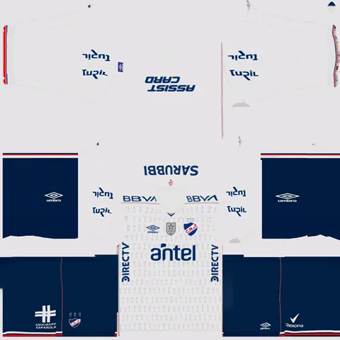 Nacional İç Saha 3D forması