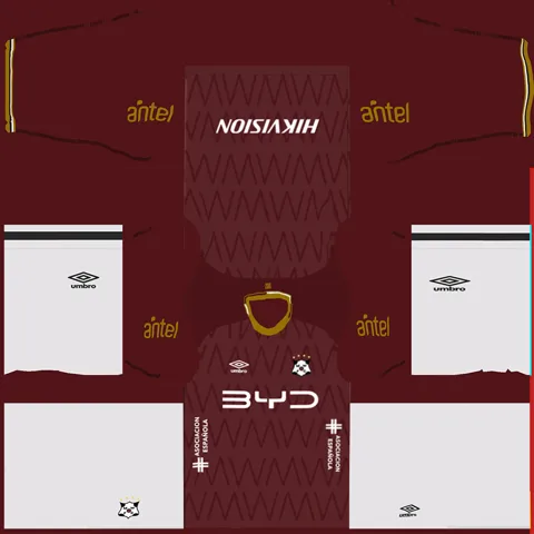 Wanderers Third 3D kit