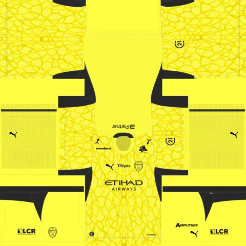 Equipación Local Portero del Troyes