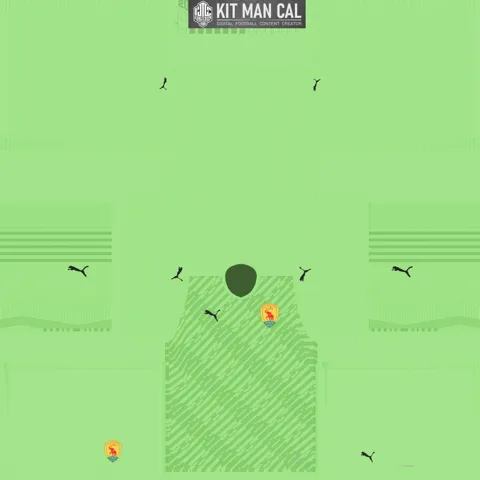 Guinea Away GK kit