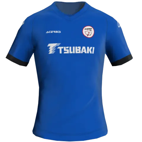 Barendrecht Away 2D kit