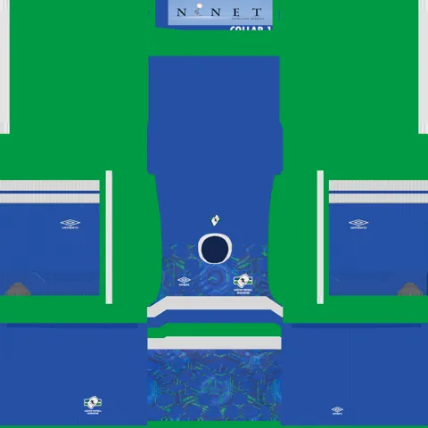 Lesotho Away 3D kit