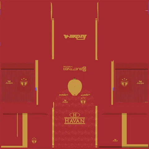 Equipación Tercera Portero del Brusque