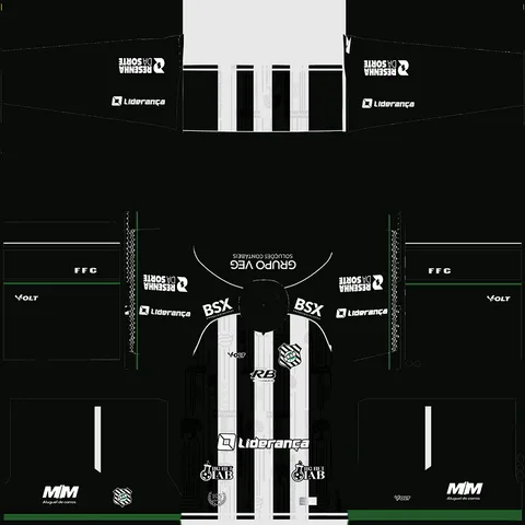 Equipación Local 3D del Figueirense