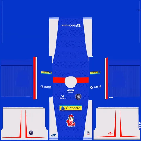 Equipación Local 3D del Cianorte