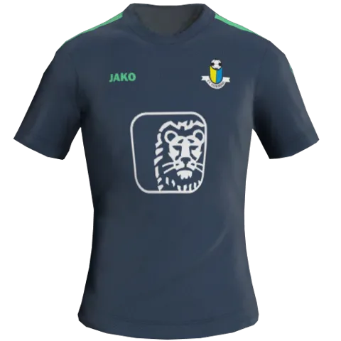 Veenendaal Away 2D kit
