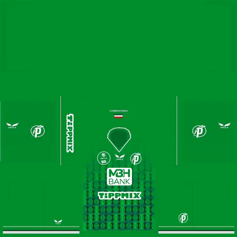 Puskás Akadémia Away GK kit