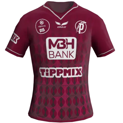 Puskás Akadémia Third 2D kit