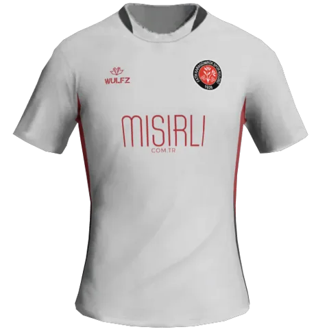 Fatih Karagümrük Away 2D kit