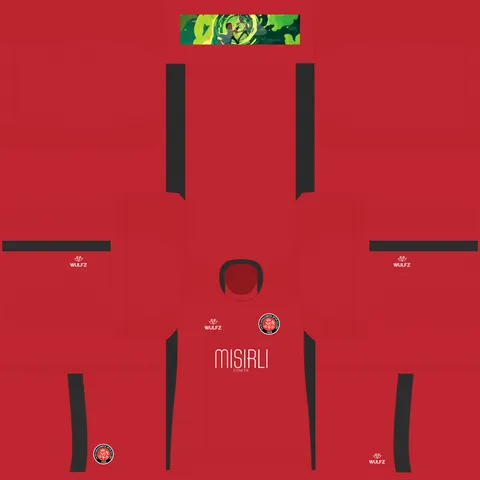 Fatih Karagümrük Third 3D kit