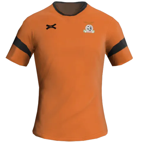 Zambia Away 2D kit