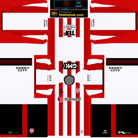 Equipación Local 3D del Derry City