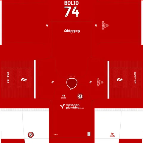 Bristol City İç Saha 3D forması