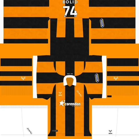Hull City İç Saha 3D forması