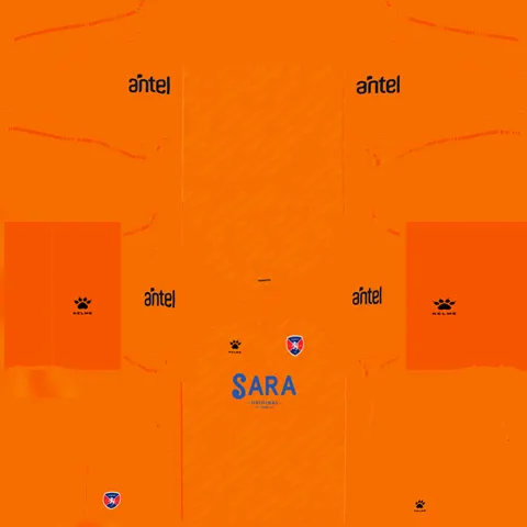 Divisa Trasferta Portiere del Albion