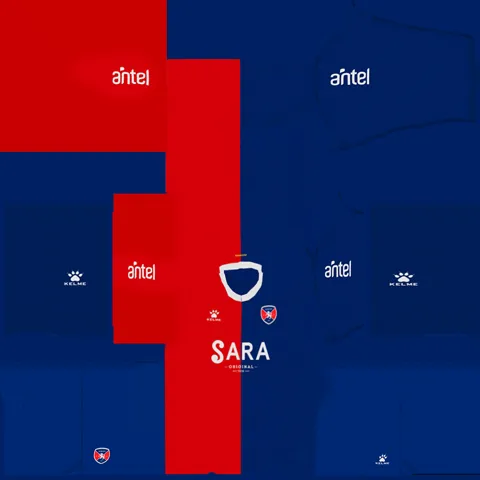 Divisa Casa 3D del Albion