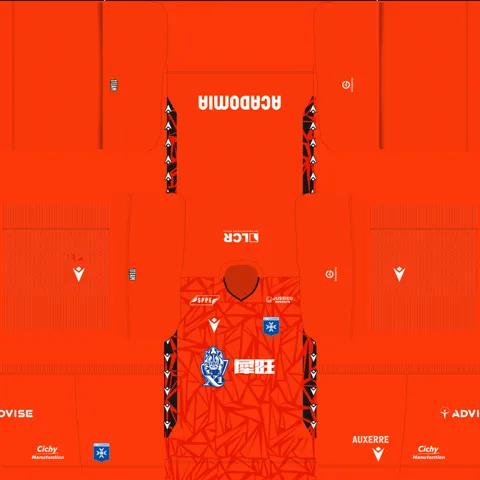Equipación Tercera Portero del Auxerre