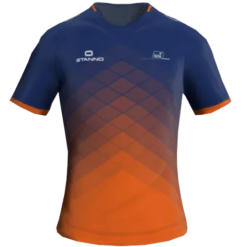 SDV Barneveld Away 2D kit
