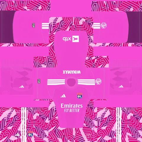 Equipación Tercera Portero del Lyon