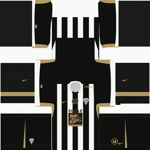 Uniforme Principal 3D do Angers