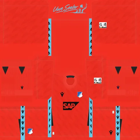 Hoffenheim Away GK kit