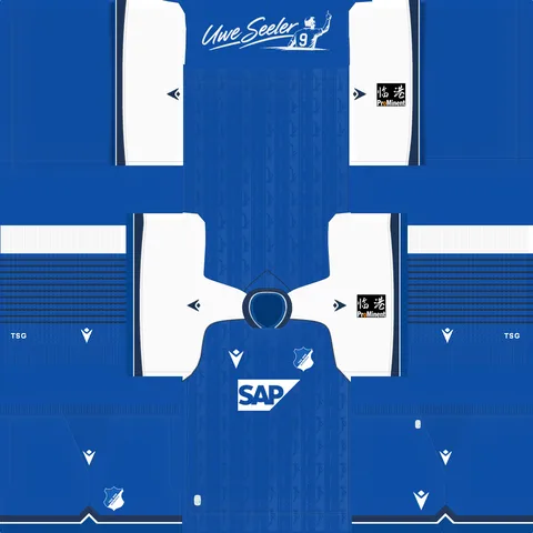 Hoffenheim Home 3D kit