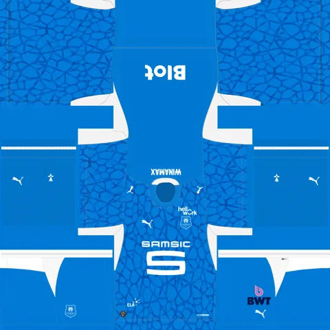 Equipación Visitante Portero del Rennes
