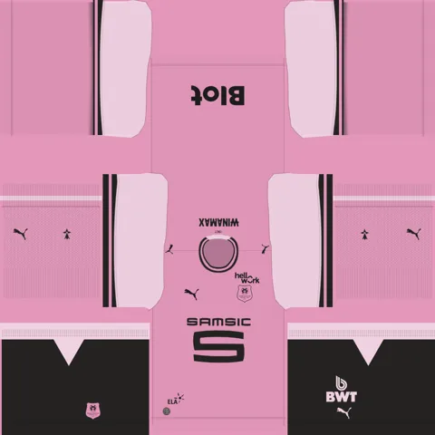 Equipación Tercera 3D del Rennes