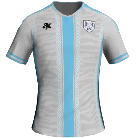 Botswana Away 2D kit