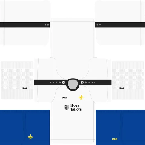 Divisa Terza 3D del AFC '34
